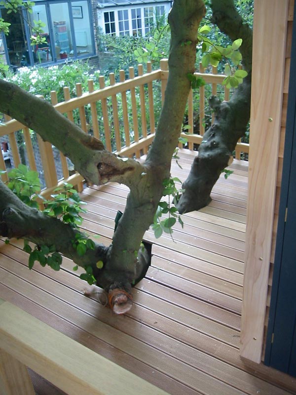 The Children S Cottage Company Bespoke Playhouses And Treehouses